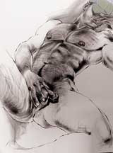 Drawing by Fernando Reyes