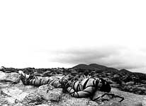 Photograph by Rick Castro