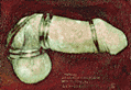 erotic art